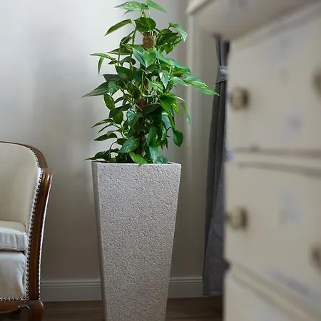 公寓 Brody 埃格尔